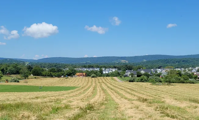 Loudoun County scenic view to display Vistas at Lakefield lifestyle